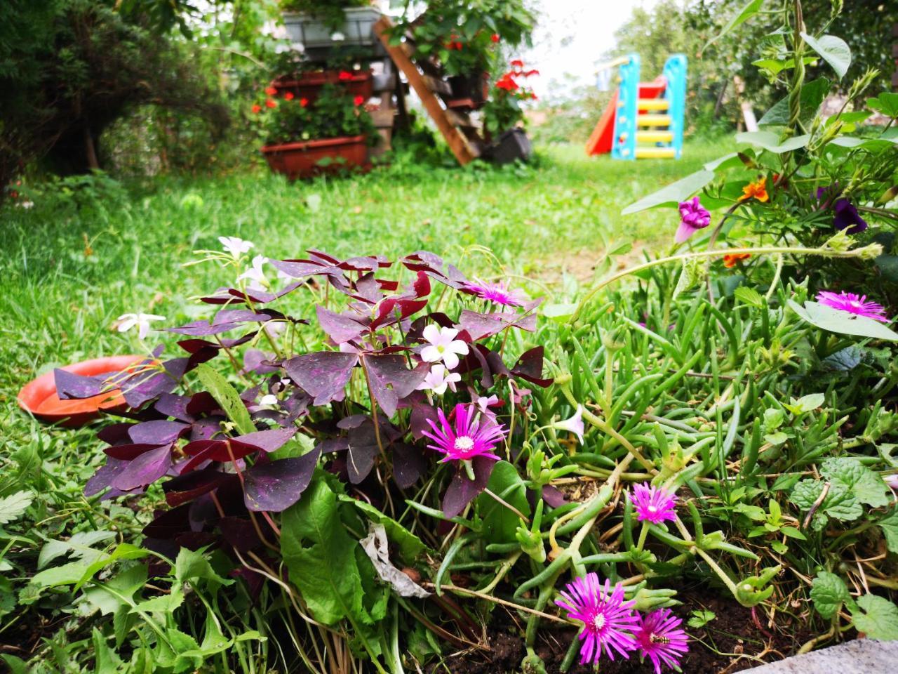 Family Apartment With Garden Сараево Екстериор снимка