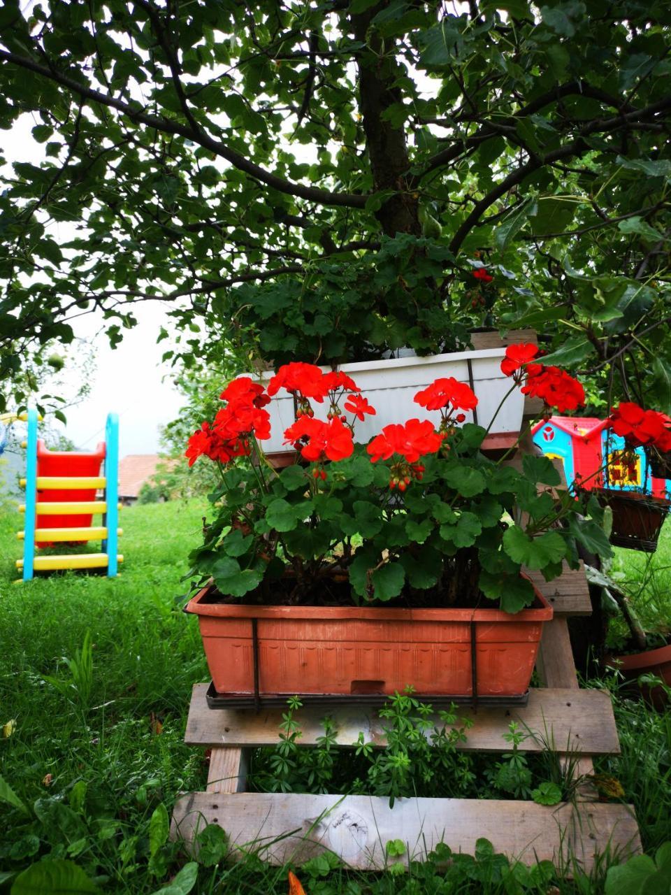 Family Apartment With Garden Сараево Екстериор снимка
