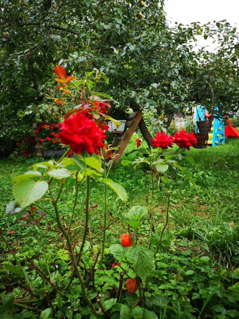 Family Apartment With Garden Сараево Екстериор снимка