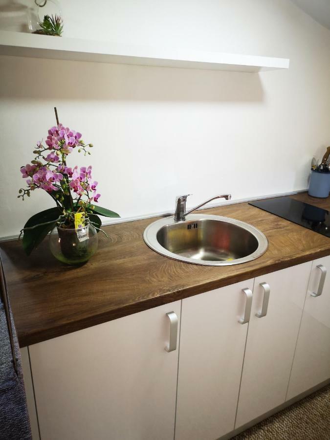 Family Apartment With Garden Сараево Стая снимка
