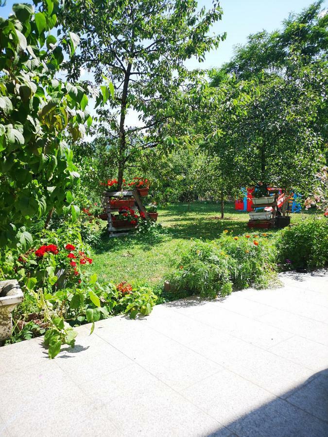 Family Apartment With Garden Сараево Екстериор снимка